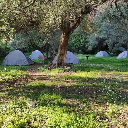 Gjipe Eco Campground Vuno Екстер'єр фото