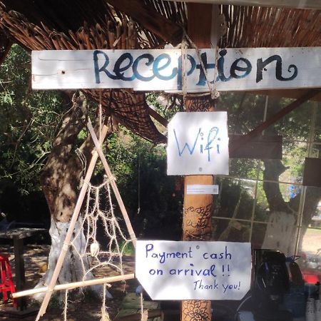 Gjipe Eco Campground Vuno Екстер'єр фото