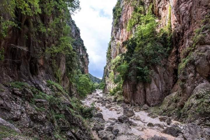 Gjipe Eco Campground Vuno Екстер'єр фото