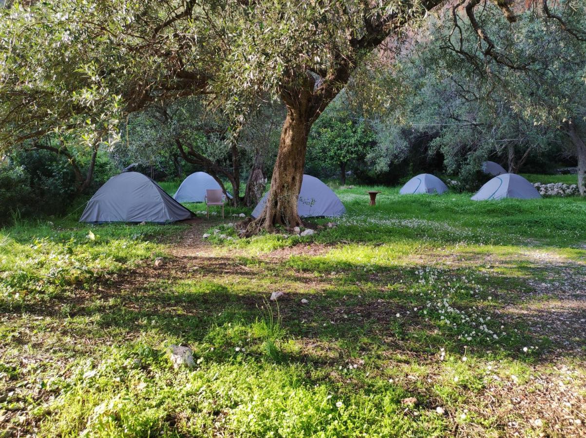 Gjipe Eco Campground Vuno Екстер'єр фото